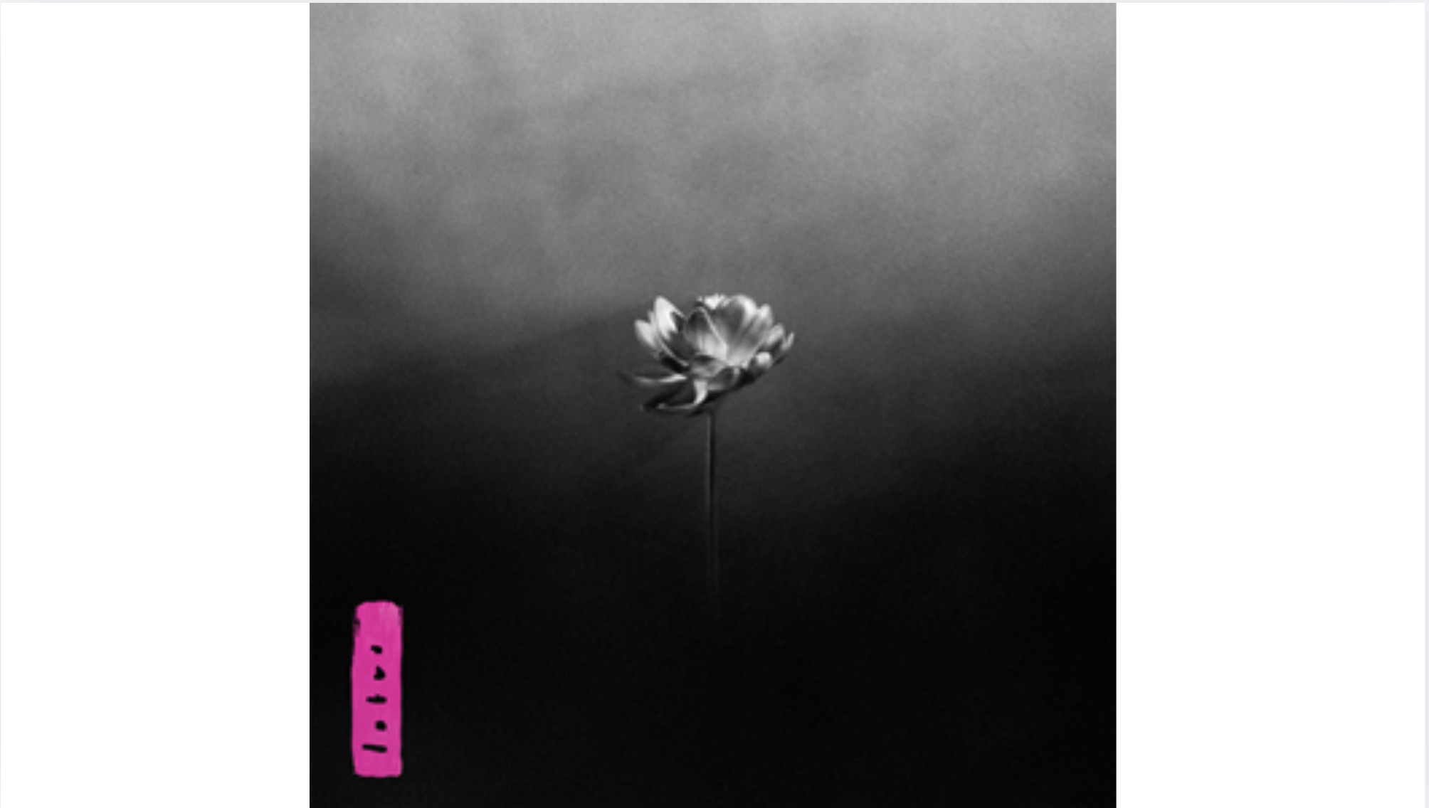 Little Simz – Lotus